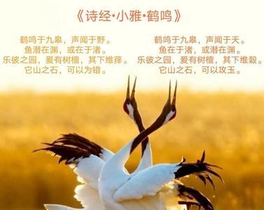 君子能屈能伸什么意思