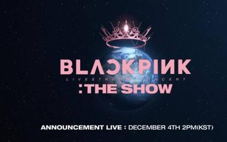 blackpink成立到今天一共多少天了