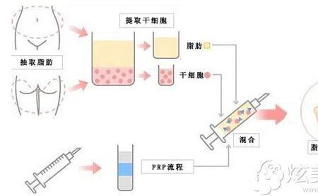 活细胞和生长因子的区别