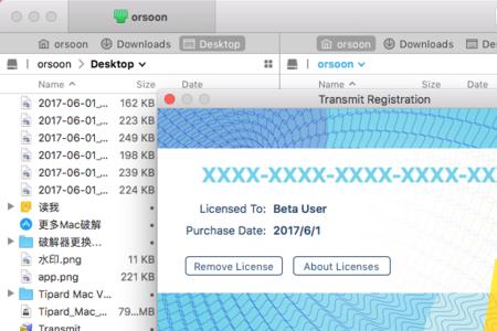 有access for mac版吗