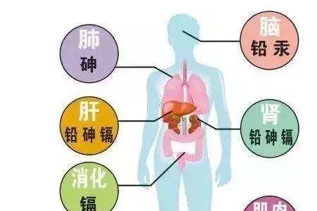 甲醛和汞的区别