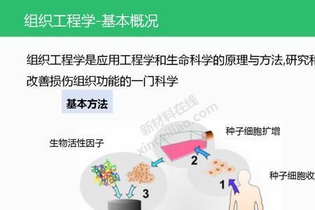 医学材料是什么方向