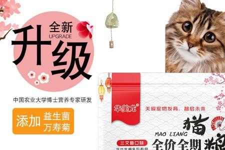 4个月猫咪吃幼猫粮还是全价猫粮