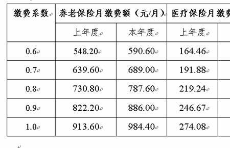 抚顺灵活就业医保缴费最低年限