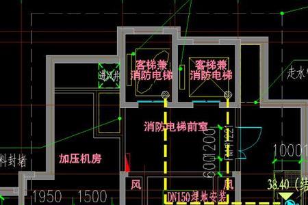 前室和中室和后室的区别