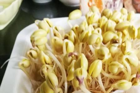 在家发黄豆芽为什么有臭烂味