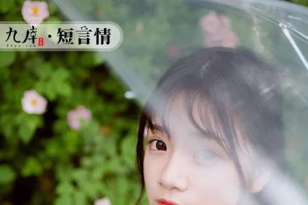 雨纷飞歌曲是什么意思