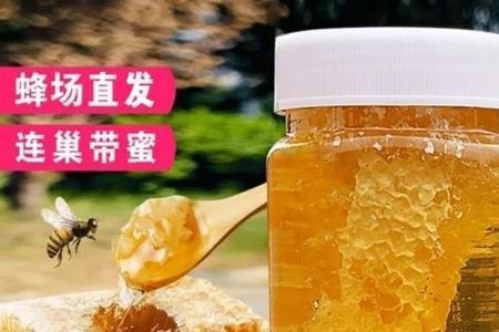 塑料桶蜂巢怎么取蜜