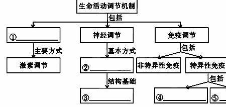 调节方式和调节机制的区别