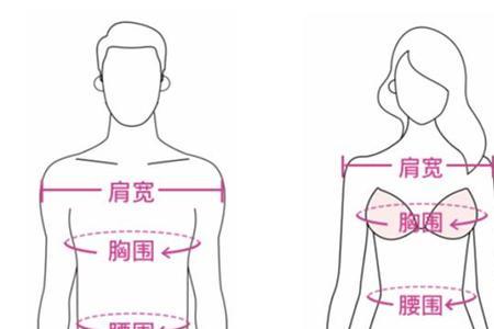 风衣的臀围尺寸怎么量