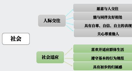 社会性情感的主要内容是什么