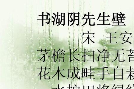 王安石的诗有哪些小学学过