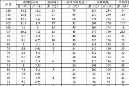 广东省体育技能考试多少分及格