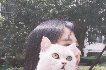 女生抱着猫的情头