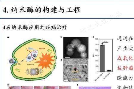 纳米酶的优缺点