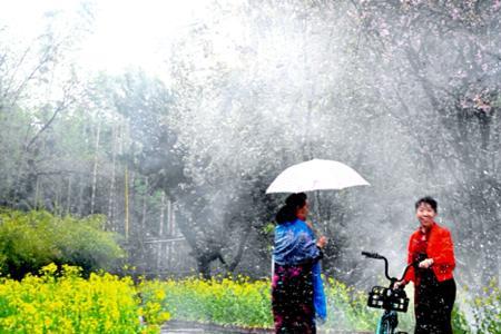 春雨绵绵的近义词