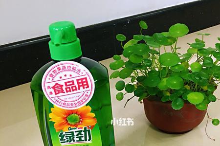 洗涤灵水浇花会怎样