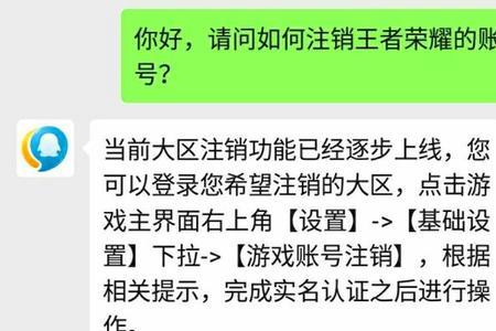 王者荣耀账号注销别人显示什么