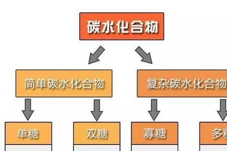 糖类最初分解成什么