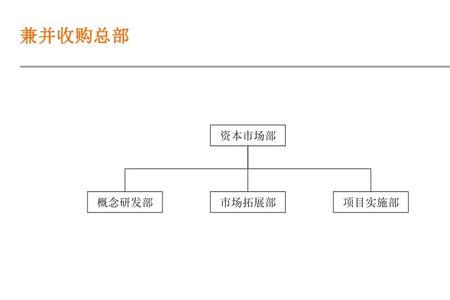 证券金融公司是什么组织形式