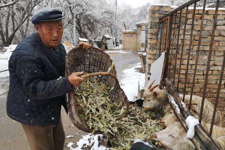 青山羊棒骨发源地