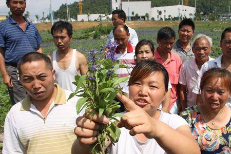 什么样的人算失地农民