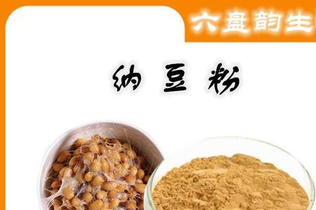 纳豆菌粉是什么