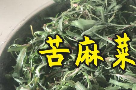 苦麻菜一般煮几分钟