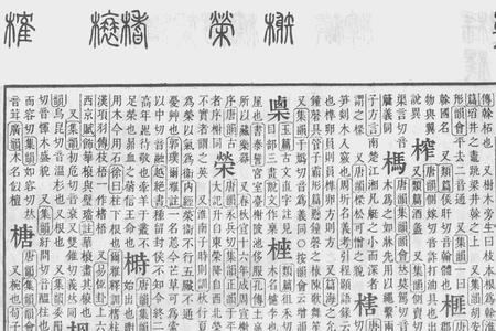 木加者是什么字