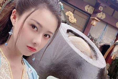 赘婿婉儿饰演者