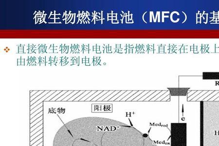 微生物燃料发酵方法