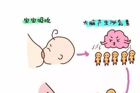 哺乳期可以提前申请上轮班吗