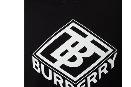 burberry小写字母是真的吗