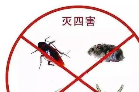 怎么样才能避免苍蝇落在衣服上