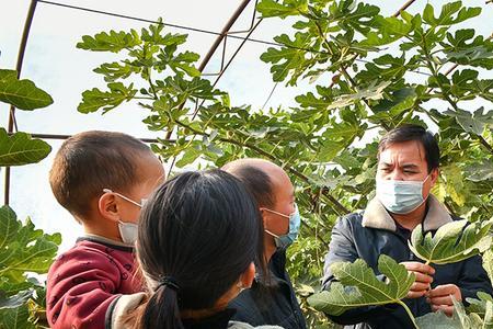 种植业生产人员是农民户口吗