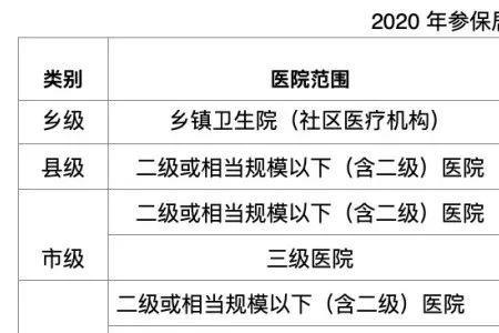 医疗待遇分哪些级别