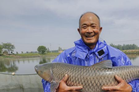 春波鱼能长多大