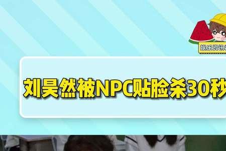 npc贴脸是什么意思