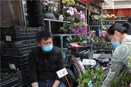 荣大花卉市场营业时间