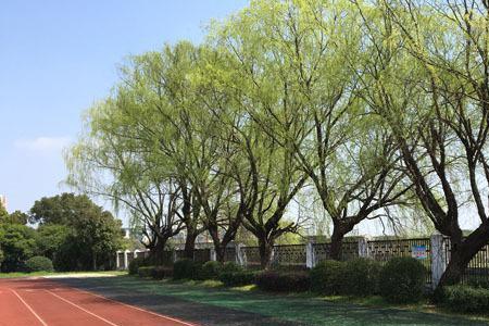 宁波市海曙区储能学校怎么样