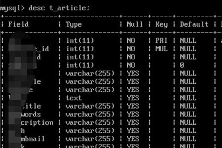 linux分号代表什么