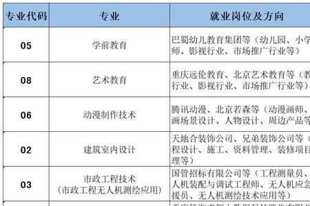 重庆艺术工程职业学院考什么