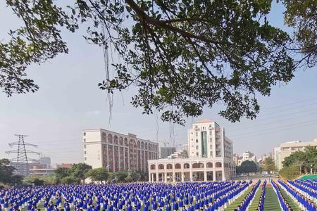 湛江市培才学校怎么样