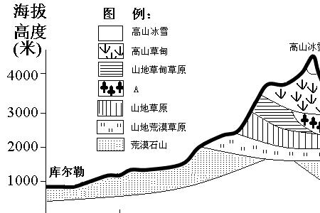 什么叫山地垂直带谱