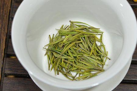 安吉白茶头茶什么意思