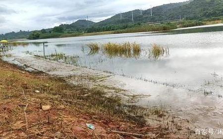 河道为何白天退水晚上涨水