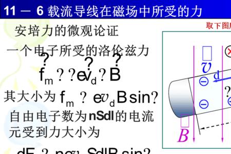 磁场中载流线圈的受力分析