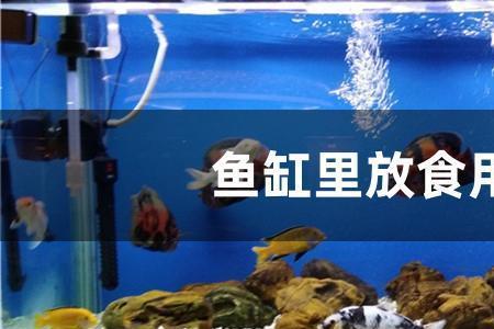 水溶磷能放鱼缸用吗