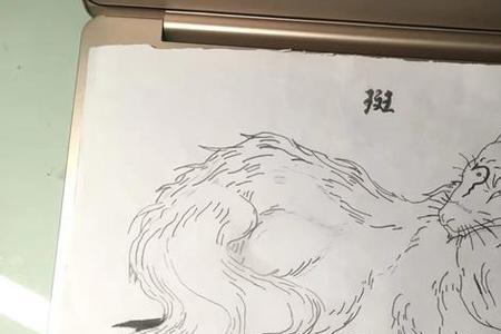 斑蝥简笔画