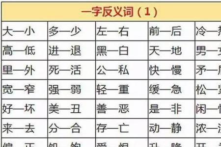 叶的反义词是什么字